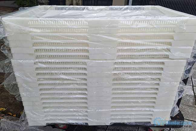 Các tiêu chuẩn an toàn khay nhựa sấy trong công nghiệp