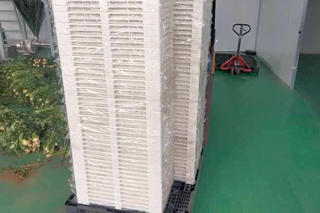 Khay nhựa sấy kẹo có thể tái chế không