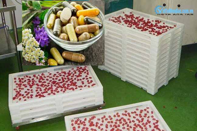 Khay nhựa sấy viên nang cứng