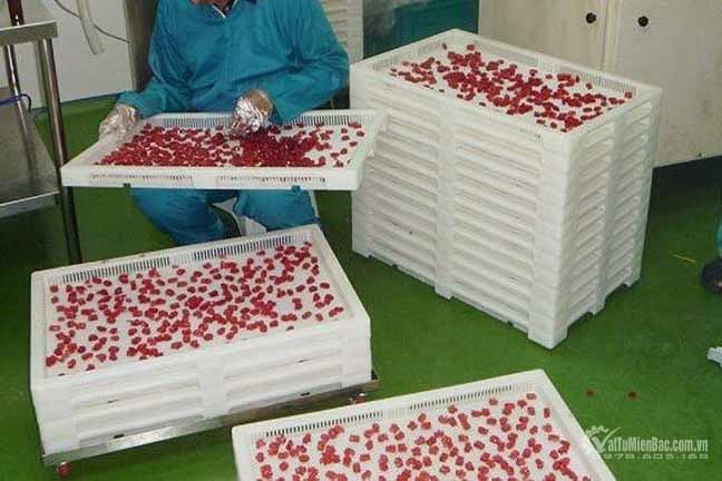 Khay sấy nhựa chịu nhiệt
