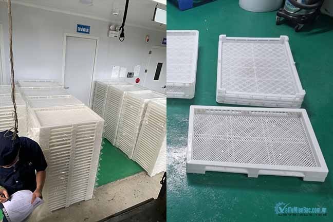 Khay sấy nhựa trong quy trình sấy lạnh