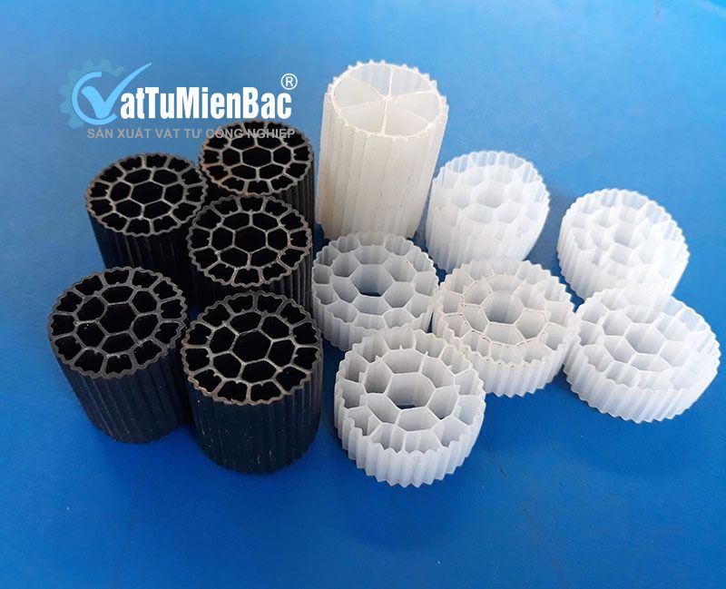 giá thể vi sinh là gì