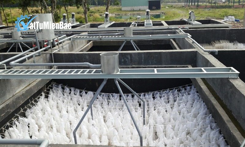 Tại sao nên sử dụng giá thể vi sinh trong hệ thống xử lý nước thải?