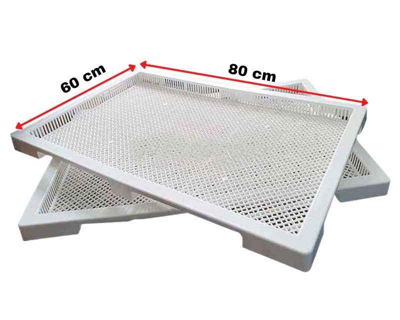 Quy trình kiểm định chất lượng khay nhựa sấy