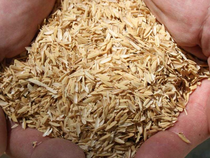 So sánh các loại giá thể vi sinh