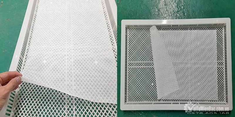 So sánh khay nhựa sấy phổ biến trên thị trường